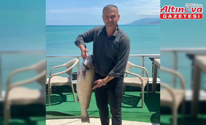 Sinop'ta 6,5 kilogramlık beyaz kötek balığı avlandı
