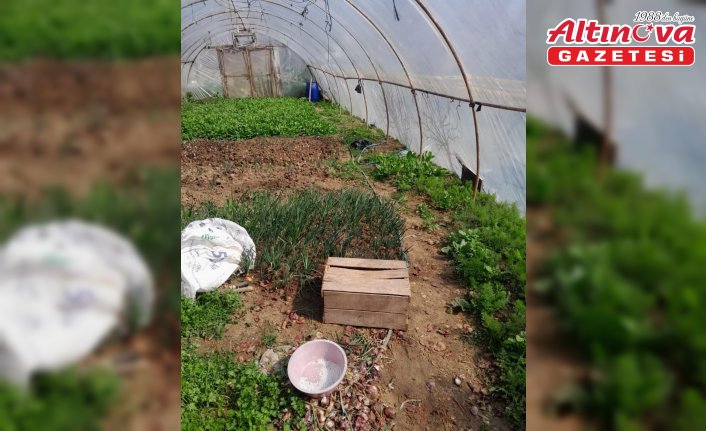 Sinop'ta kaçak su kullanan kişilere para cezası verildi