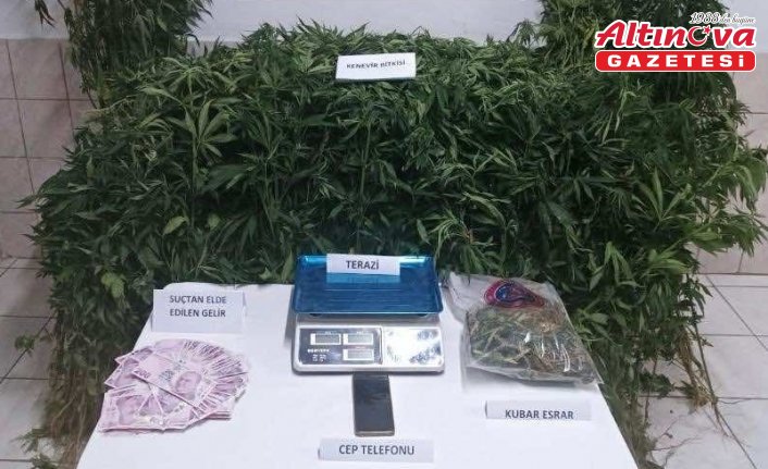 Sinop'ta uyuşturucu operasyonunda yakalanan 2 zanlıdan biri tutuklandı