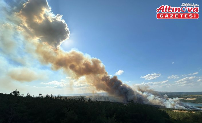 Tekirdağ'da orman yangınına havadan ve karadan müdahale ediliyor