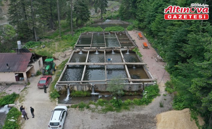Tesisin elektriği alabalık havuzunun suyundan üretiliyor
