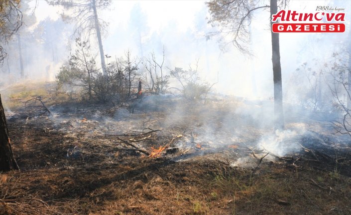 Tokat'ta çıkan orman yangını kontrol altına alındı