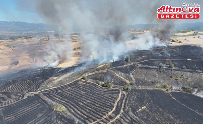 Tokat'ta çıkan yangında yaklaşık 250 dekar buğday ekili alan yandı