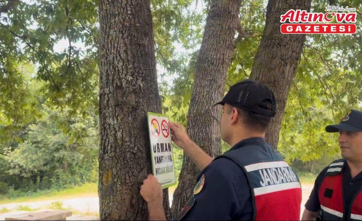 Türkeli'de jandarma ekiplerince ormanlık alanda denetim yapıldı