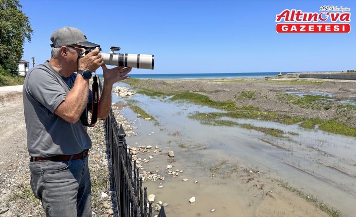 Türkiye'de nadir görülen kara leylek Kastamonu'daki Ezine Çayı'nda fotoğraflandı