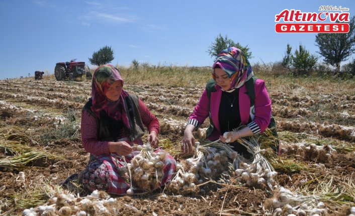 Yeşilaydan sarımsak tarlasında çalışan kadınlara ziyaret