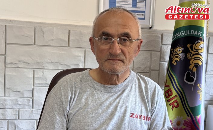 Zonguldak’ta kestane balından 600 ton rekolte bekleniyor