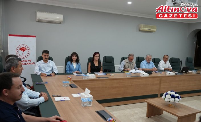 Amasya'da tarım ve hayvancılık değerlendirme toplantısı yapıldı