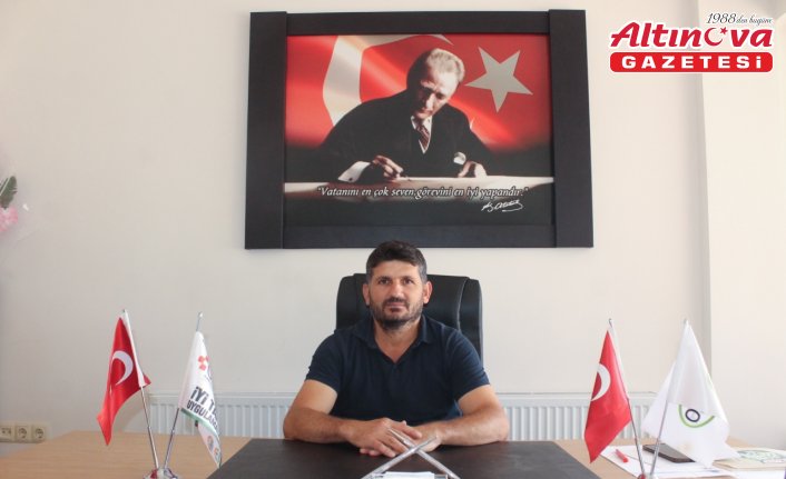 Bafra Ovası'nda kışlık sebze fidesi dikimi başladı