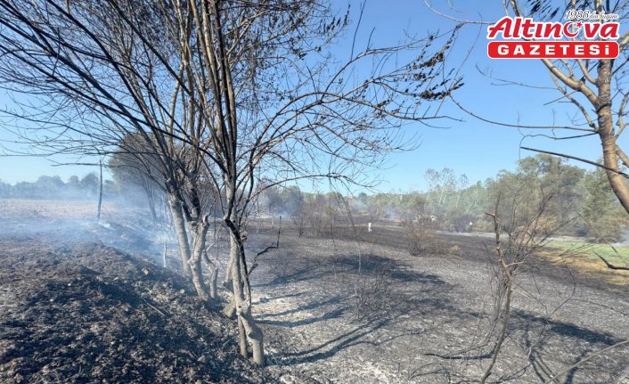 Bartın'da çıkan anız yangını ağaçlık alana sıçradı