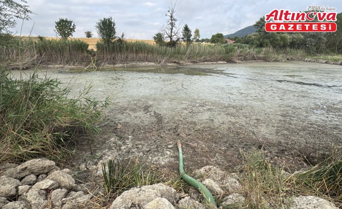 Bolu'da balık ölümlerinin yaşandığı gölette inceleme yapıldı