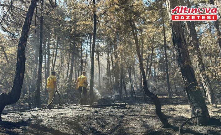 Bolu'da çıkan orman yangını kısmen kontrol altına alındı
