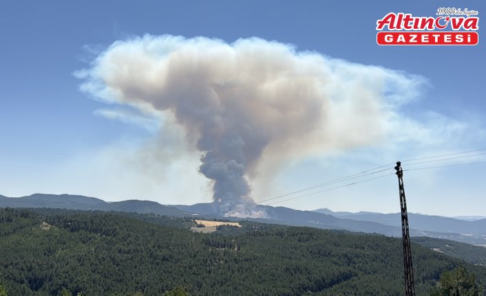 Bolu'da çıkan orman yangınına müdahale ediliyor
