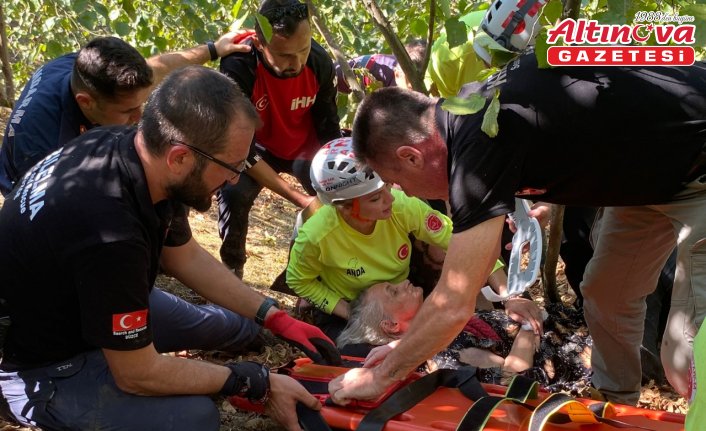 Düzce'de 2 gündür aranan yaşlı kadın sağ bulundu