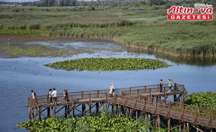 Efteni Gölü Kuş Cenneti hafta sonu doğa tutkunlarını ağırladı