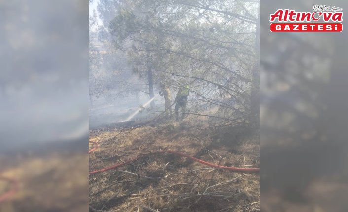 Gaziantep'te çıkan orman yangını kontrol altına alındı