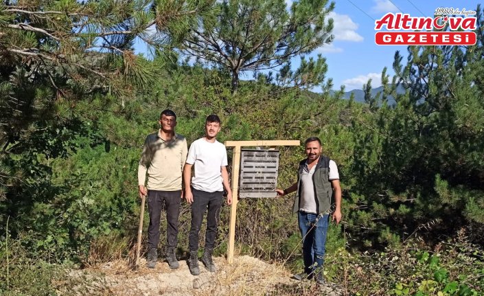 Göynük'te ormanları korumak için biyolojik mücadele başlatıldı