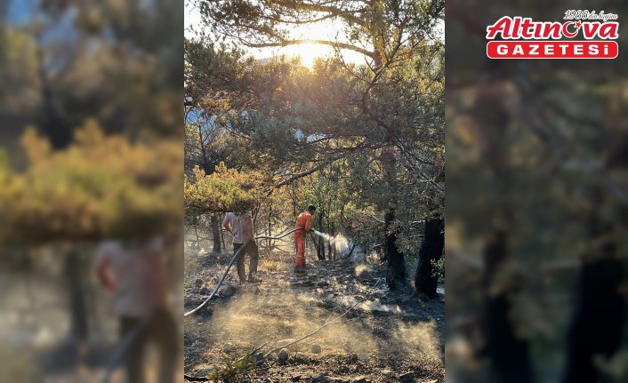 Gümüşhane'deki orman yangını söndürüldü