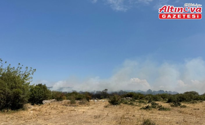 GÜNCELLEME 2 - Bursa'da çıkan orman yangını kontrol altına alındı