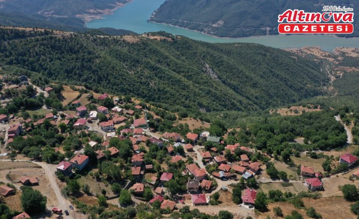 Sinop'taki orman yangını kontrol altına alındı