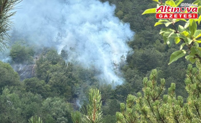 GÜNCELLEME - Bolu'da ormanlık alanda çıkan yangın kontrol altına alındı