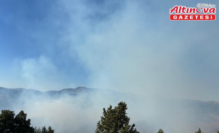 GÜNCELLEME - Gümüşhane'deki orman yangını kontrol altına alındı