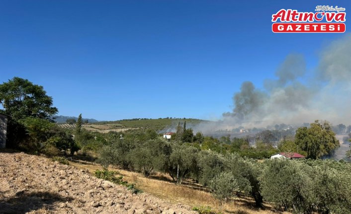 Osmaniye'de tarladan zeytinliğe sıçrayan yangına müdahale ediliyor