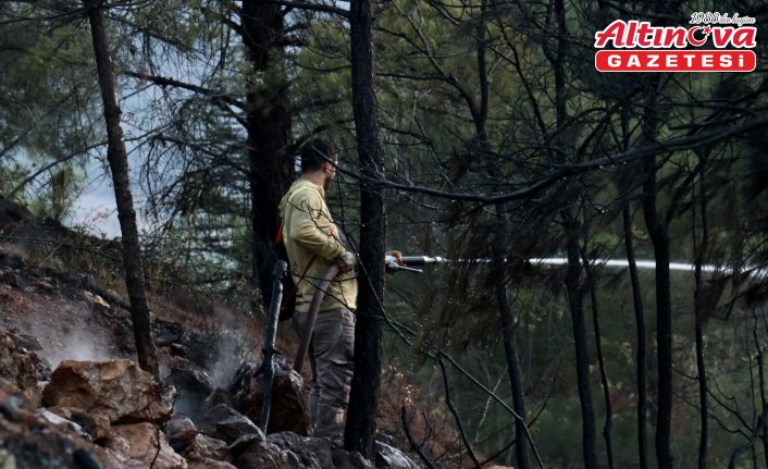 GÜNCELLEME - Tokat'ta ormanlık alanda çıkan yangın kontrol altına alındı