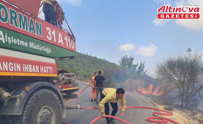 Hatay Yayladağı'nda çıkan orman yangını kontrol altına alındı