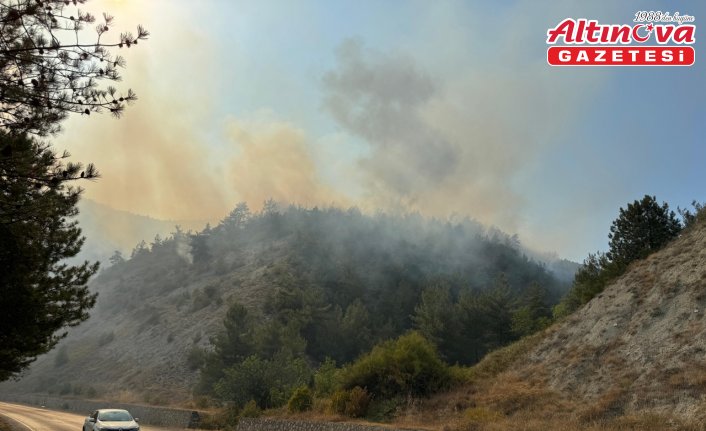 Karabük'te çıkan orman yangınına müdahale ediliyor