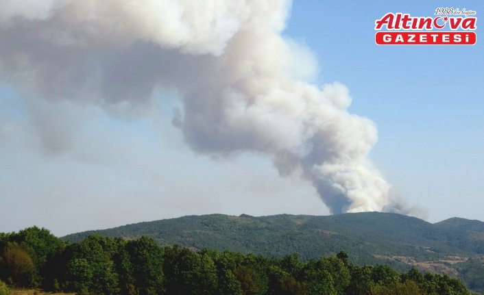 Karabük'te ormanlık alanda çıkan yangına müdahale ediliyor
