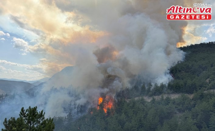 Karabük'te ormanlık alanda yeniden yangın çıktı