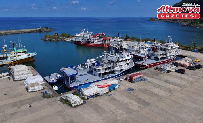 Karadenizli balıkçılar yeni sezonda hamsiden umutlu