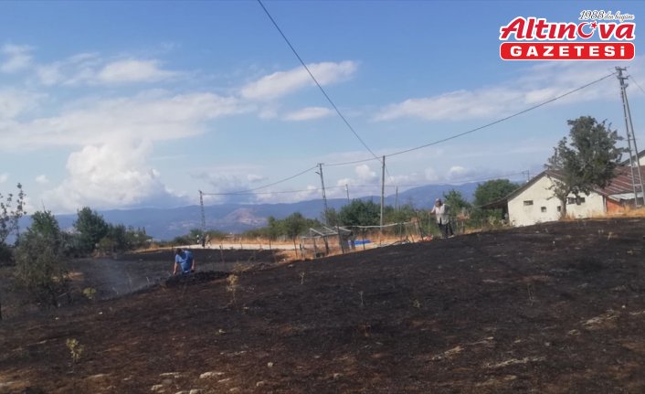 Kastamonu'da çıkan orman yangını kontrol altına alındı
