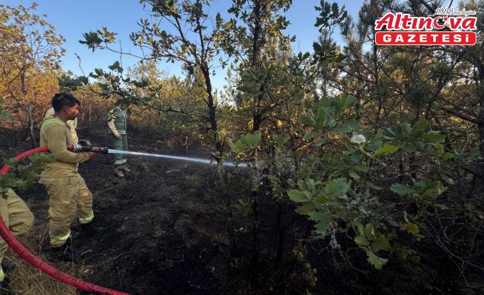 Kastamonu'da çıkan orman yangını söndürüldü