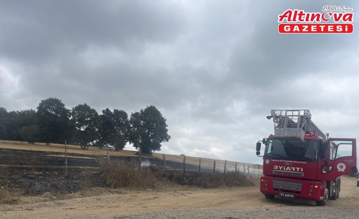 Ladik'te anız yangını ağaçlara sıçramadan söndürüldü