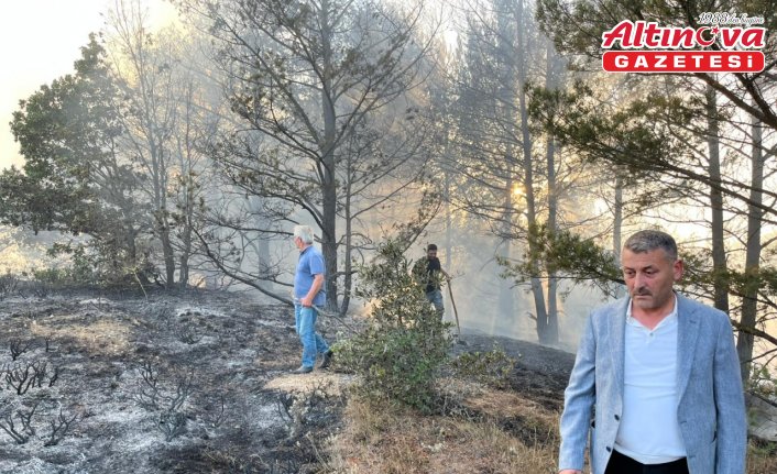 Ordu'da çıkan orman yangını söndürüldü