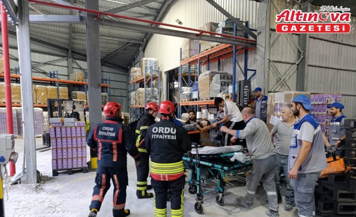Ordu'da kolunu paketleme makinesine sıkıştıran işçi ağır yaralandı