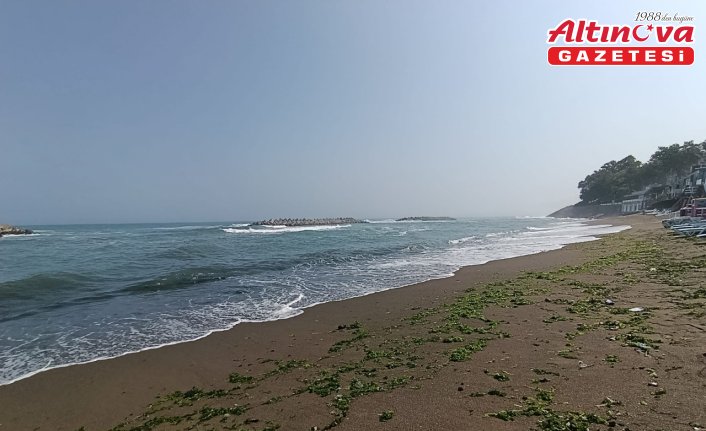 Sakarya ve Düzce'de denize girmek yasaklandı