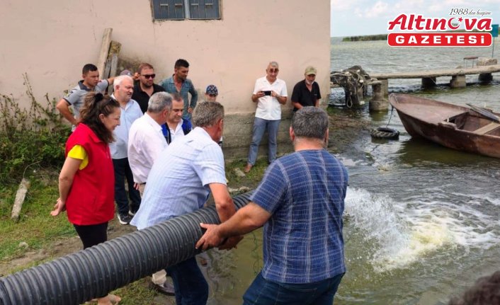 Samsun'da 2 milyon 341 bin yavru sazan su kaynaklarına bırakıldı