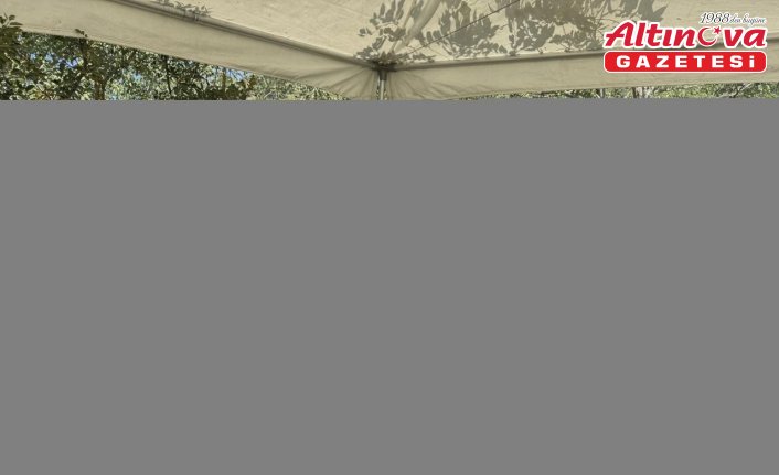 Samsun'da 3. Dürtmen Yaylası Çilek Festivali