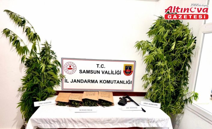 Samsun'da uyuşturucu operasyonunda 1 zanlı yakalandı