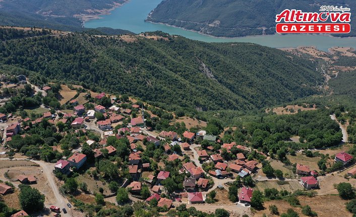 Sinop'taki orman yangını kontrol altına alındı