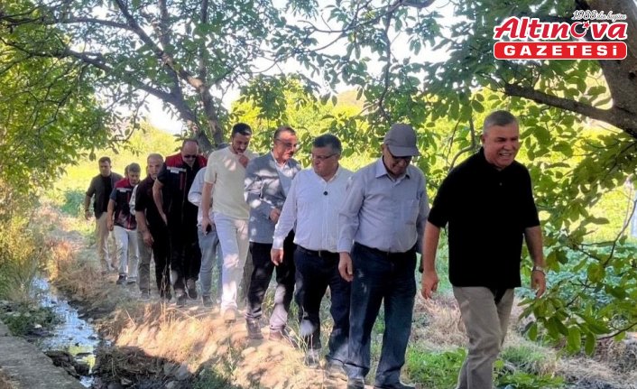 Sinop'ta coğrafi işaretli Boyabat Gazidere domatesinin hasadı başladı