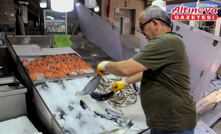 Sinop'ta sezonun ilk torikleri tezgahlarda yerini aldı