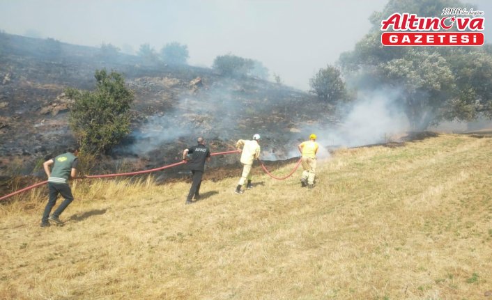 Tokat'ta çıkan yangında 10 dönümlük alan zarar gördü