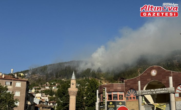 Tokat'ta ormanlık alanda çıkan yangına müdahale ediliyor