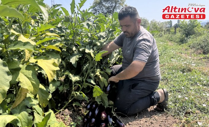 Toprak sevgisi baba mesleğinin önüne geçti