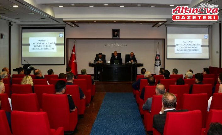 Trabzon'da sahipsiz hayvanları korumaya yönelik toplantı yapıldı