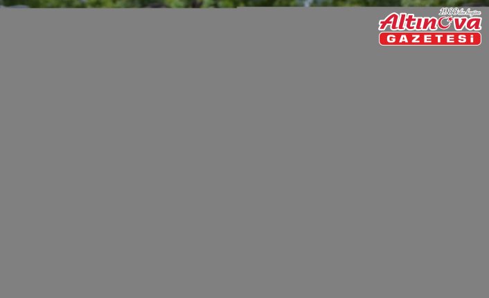 Trabzon'un fethinin 564. yıl dönümü kutlandı